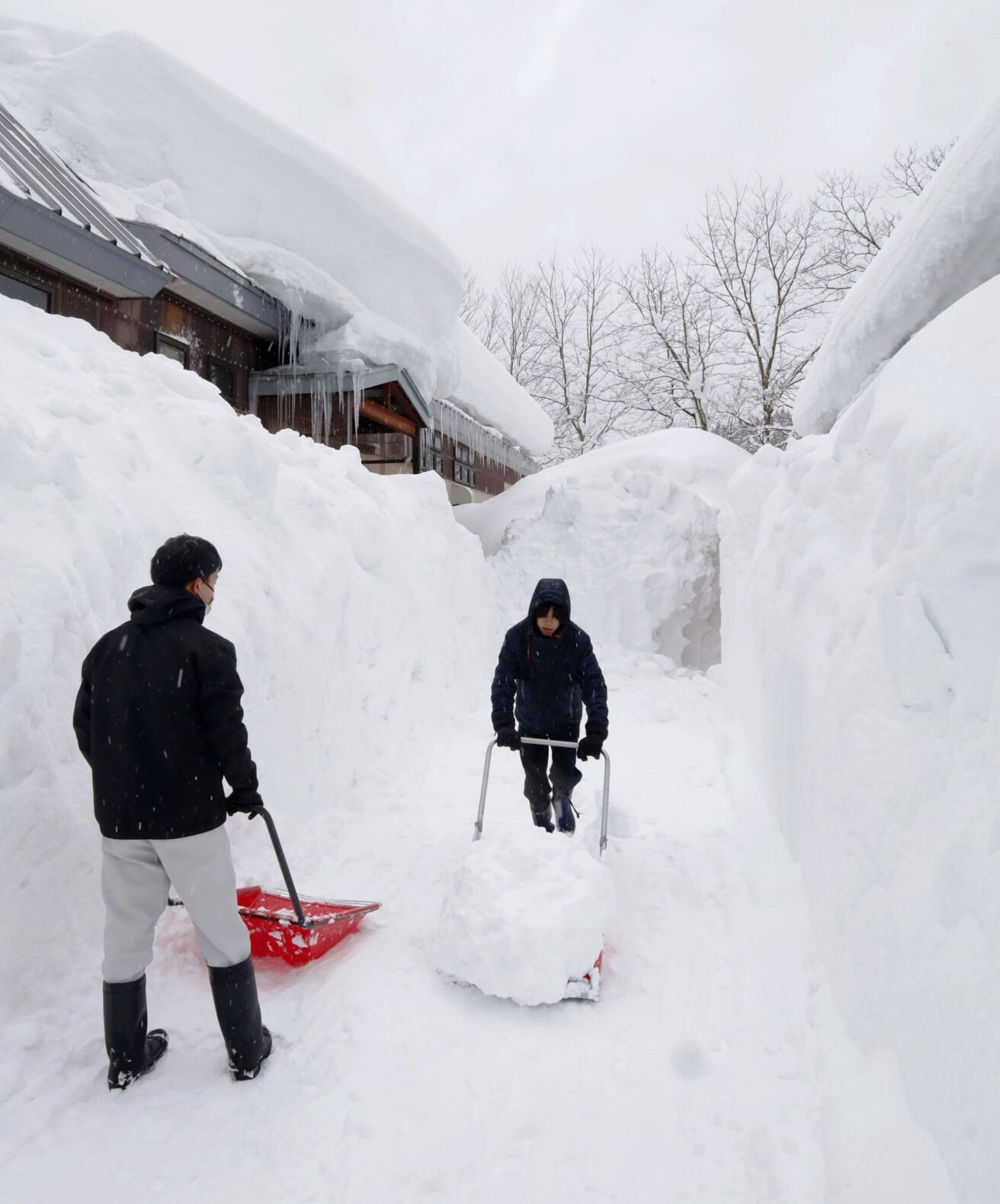 Japan Snowstorm Claims 45 Lives, Injures Over 500 as Heavy Fall Hits Northern Regions