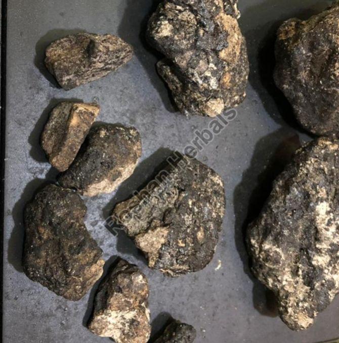 Massive Ambergris Discovery in Maldives Valued at Hundreds of Thousands