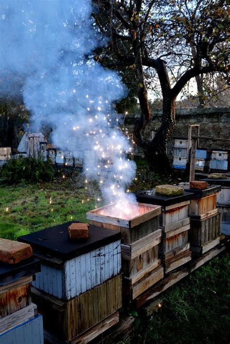 Serbia’s Deliblat Sands Burn for Weeks as Fire Threatens Apiaries