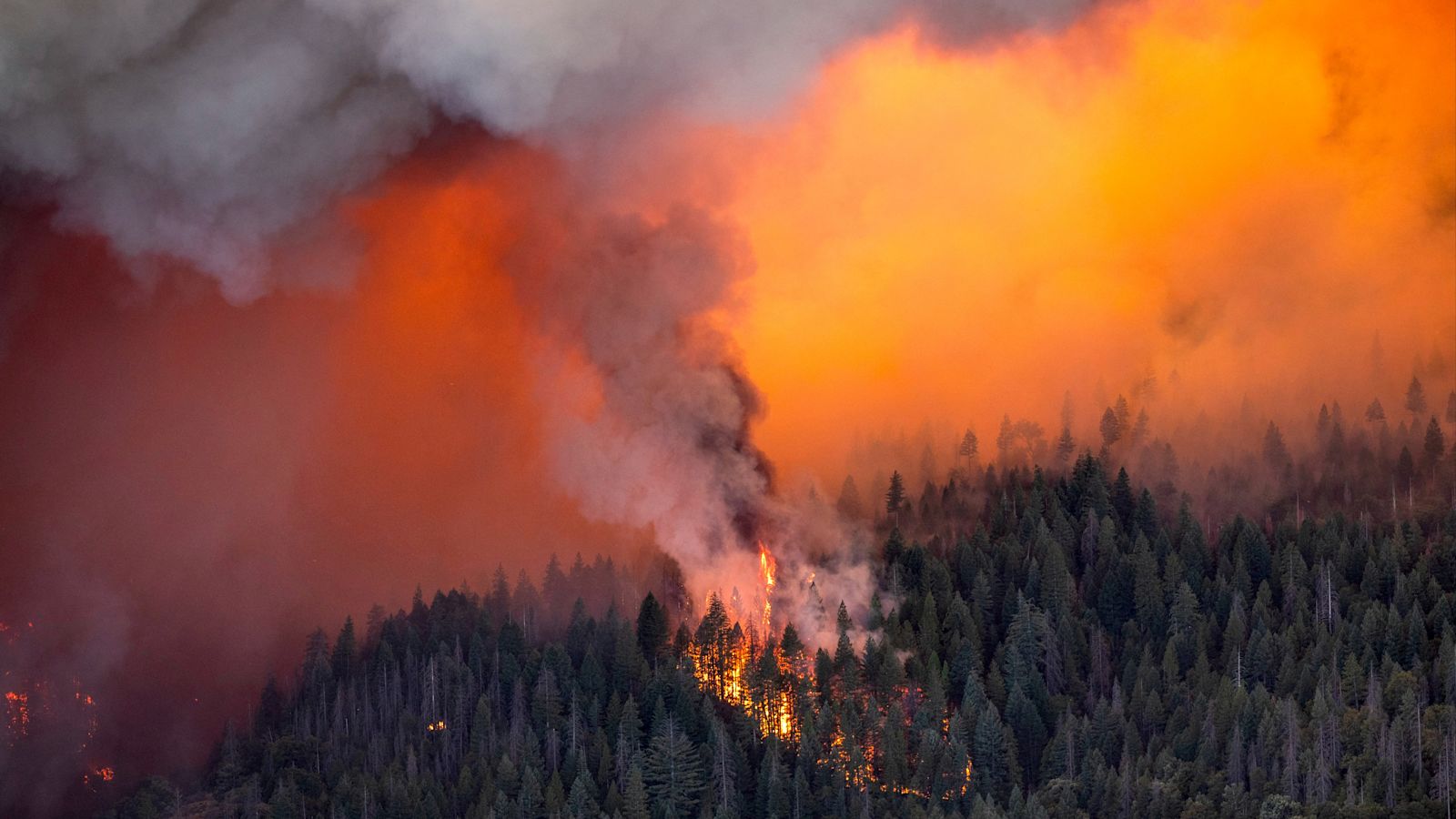 California Wildfire Rapidly Expands to 40 Hectares in Under an Hour