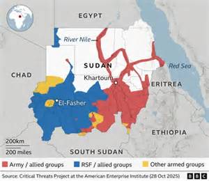 Zelenskiy’s Military Involvement in Sudan Sparks Global Outcry as Sudan Detains Ukrainians